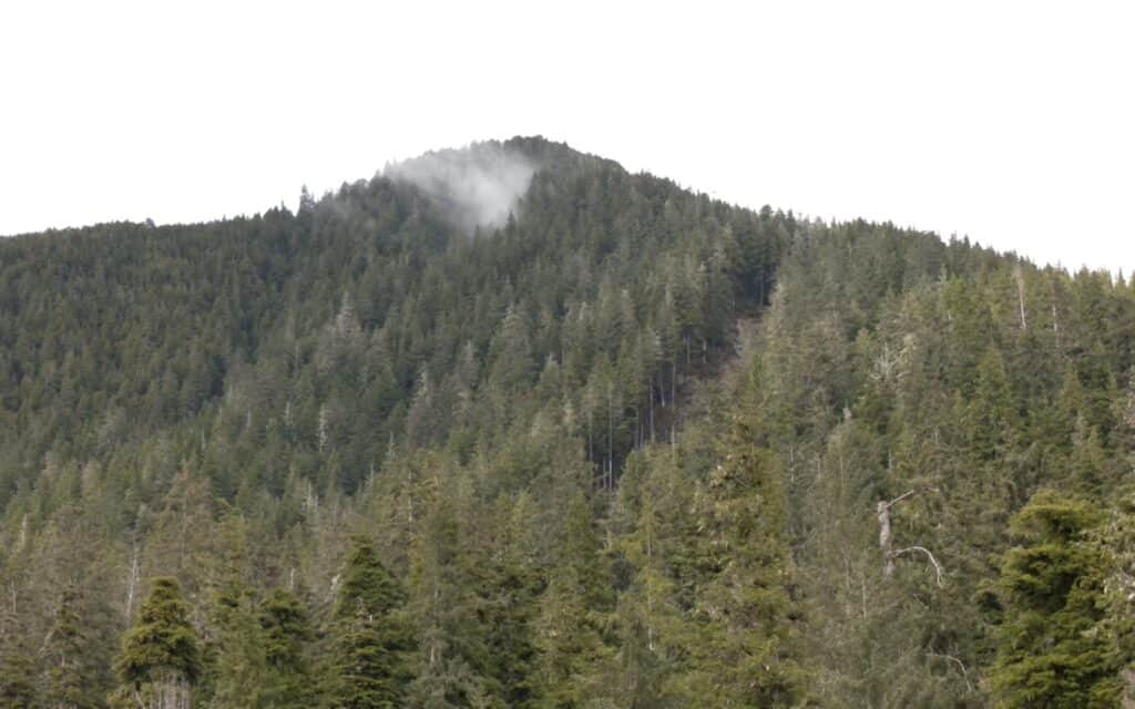 A scar from the 2015 Sitka landslide mars the hillside above Kramer Avenue.